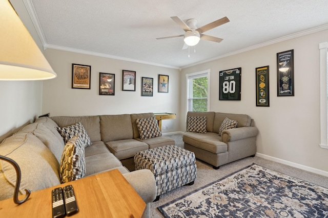 2505 Port Kembla Dr, Mount Juliet, TN 37122 - photo 30