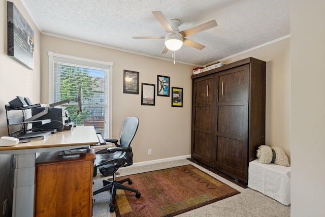 2505 Port Kembla Dr, Mount Juliet, TN 37122 - photo 27