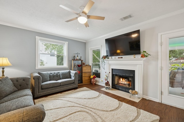 2505 Port Kembla Dr, Mount Juliet, TN 37122 - photo 14