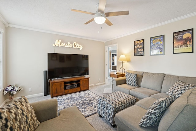 2505 Port Kembla Dr, Mount Juliet, TN 37122 - photo 29