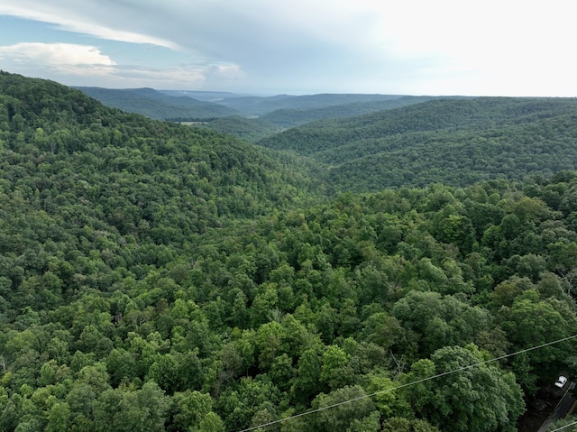 1 Calfkiller Hwy, Monterey, TN 38574 - photo 22
