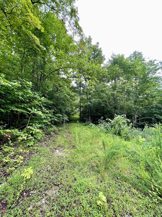 1 Calfkiller Hwy, Monterey, TN 38574 - photo 12