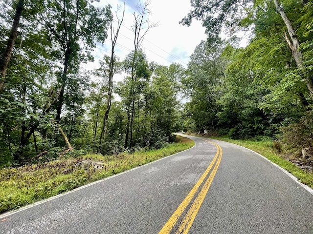 1 Calfkiller Hwy, Monterey, TN 38574 - photo 20