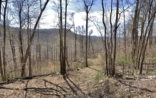 1 Calfkiller Hwy, Monterey, TN 38574 - photo 2