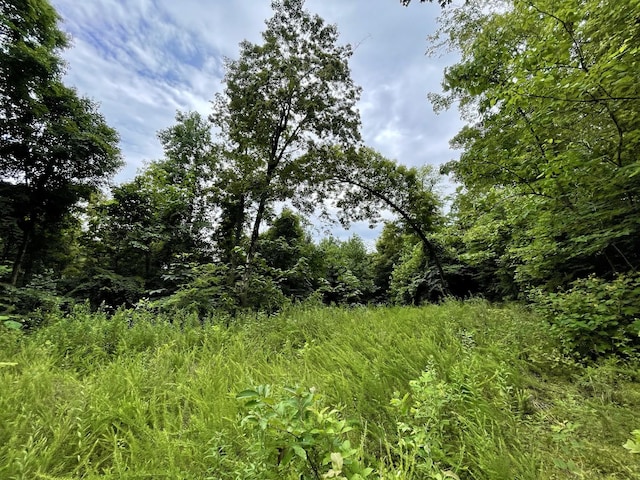 1 Calfkiller Hwy, Monterey, TN 38574 - photo 3