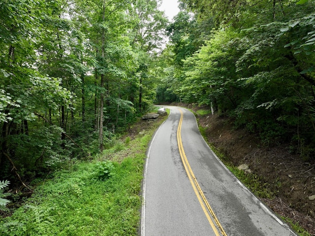 1 Calfkiller Hwy, Monterey, TN 38574 - photo 25