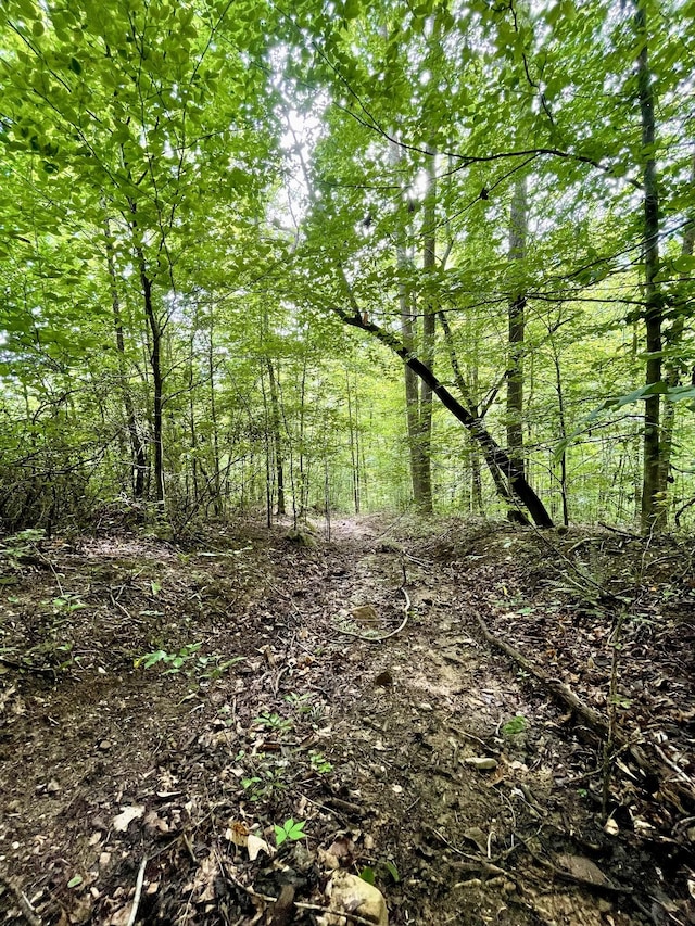 1 Calfkiller Hwy, Monterey, TN 38574 - photo 11