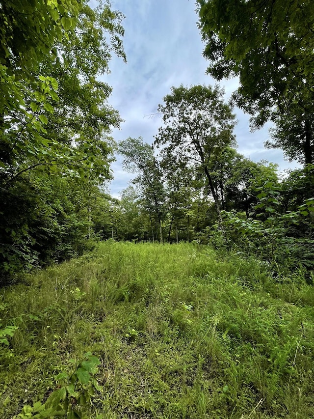 1 Calfkiller Hwy, Monterey, TN 38574 - photo 8