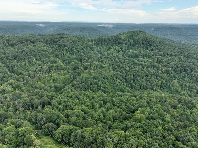 1 Calfkiller Hwy, Monterey, TN 38574 - photo 21