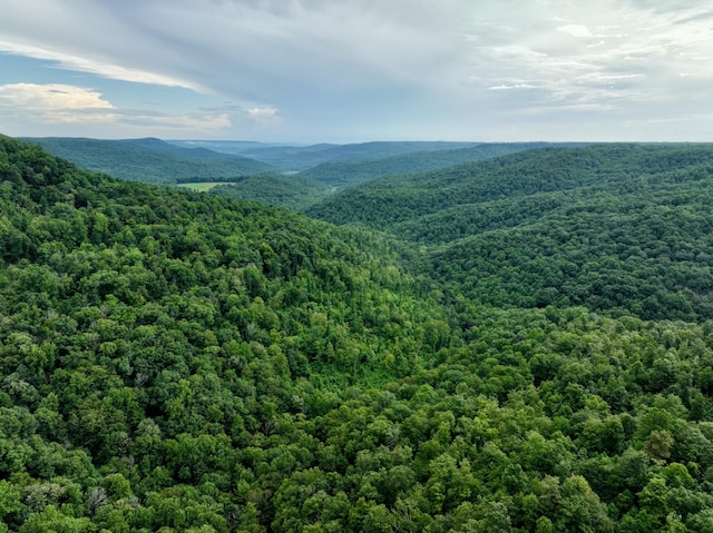 1 Calfkiller Hwy, Monterey, TN 38574 - photo 1