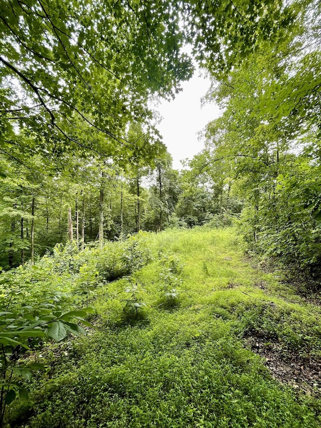 1 Calfkiller Hwy, Monterey, TN 38574 - photo 10