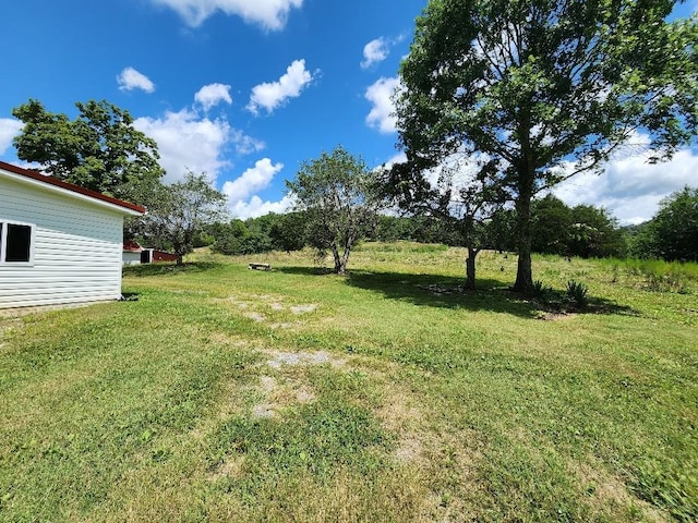 785 Woodmore Hollow Ln, Hartsville, TN 37074 - photo 13