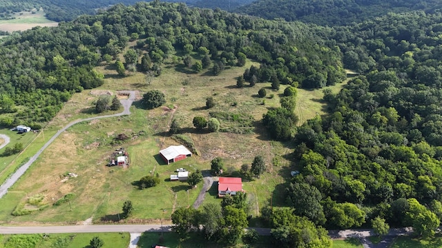 785 Woodmore Hollow Ln, Hartsville, TN 37074 - photo 9