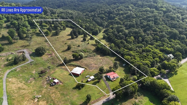 785 Woodmore Hollow Ln, Hartsville, TN 37074 - photo 4