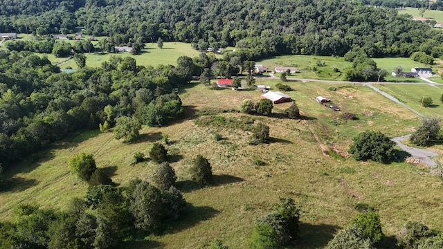 785 Woodmore Hollow Ln, Hartsville, TN 37074 - photo 23