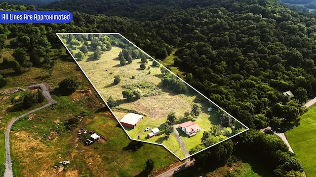 785 Woodmore Hollow Ln, Hartsville, TN 37074 - photo 2