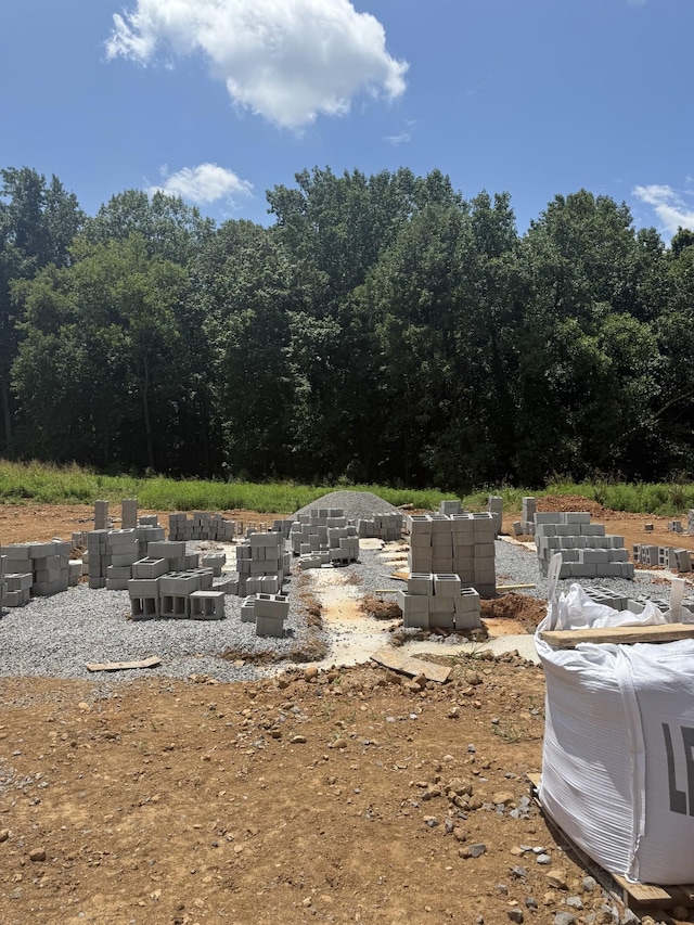 147 Irish Hills Dr, Clarksville, TN 37042 - photo 2