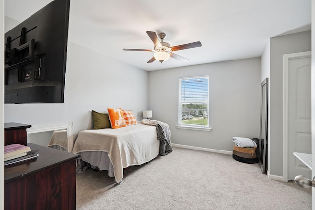 509 Deepwood Way, Spring Hill, TN 37174 - photo 21