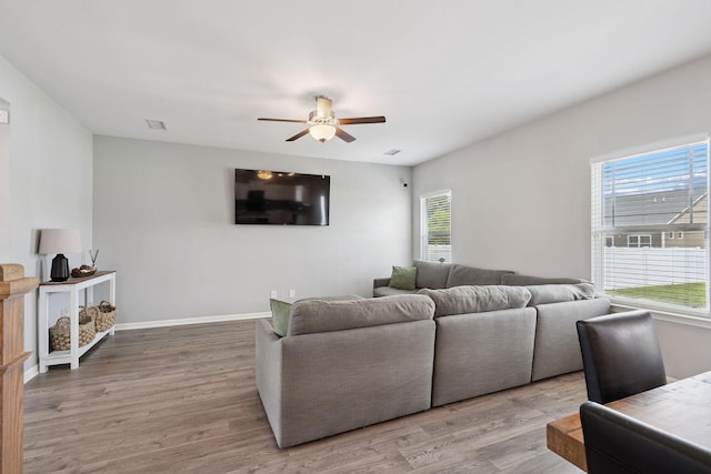 509 Deepwood Way, Spring Hill, TN 37174 - photo 8