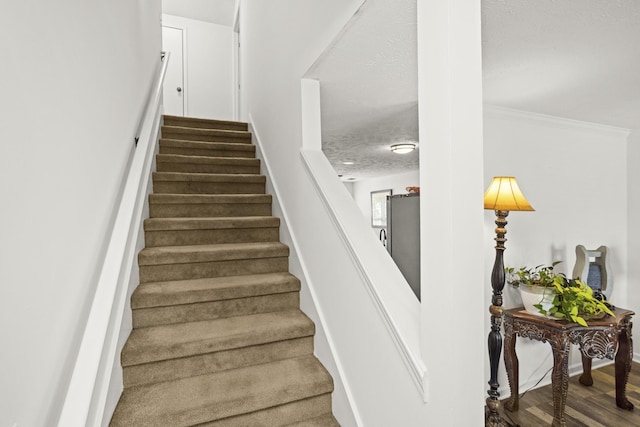 292 Indian Park Dr, Murfreesboro, TN 37128 - photo 23