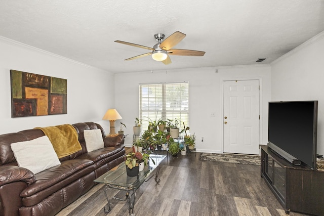 292 Indian Park Dr, Murfreesboro, TN 37128 - photo 6