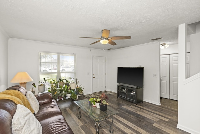 292 Indian Park Dr, Murfreesboro, TN 37128 - photo 7