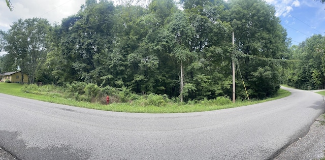 1535 Mount Olivet Rd, Hendersonville, TN 37075 - photo 4