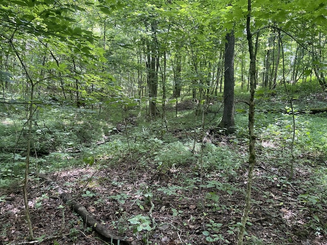 1535 Mount Olivet Rd, Hendersonville, TN 37075 - photo 5