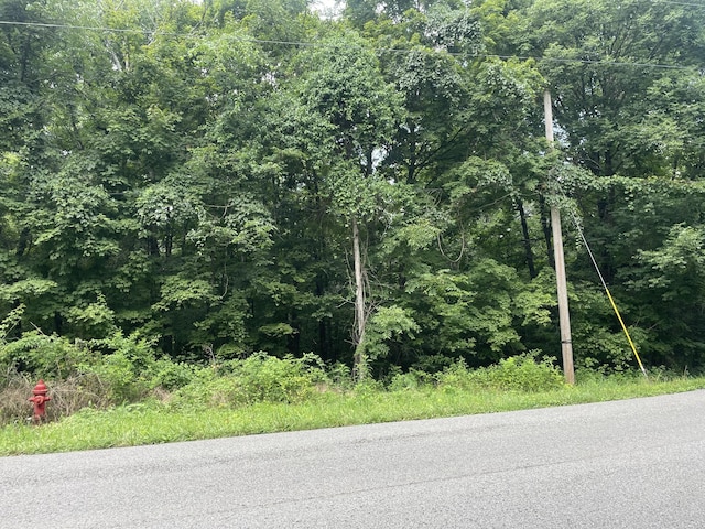 1535 Mount Olivet Rd, Hendersonville, TN 37075 - photo 2