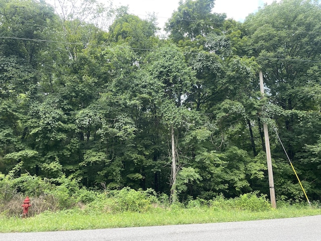 1535 Mount Olivet Rd, Hendersonville, TN 37075 - photo 3