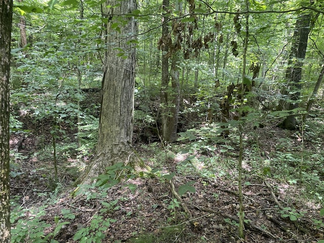 1535 Mount Olivet Rd, Hendersonville, TN 37075 - photo 7