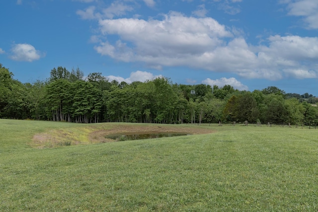 150 Mitchellville Ct, Portland, TN 37148 - photo 41