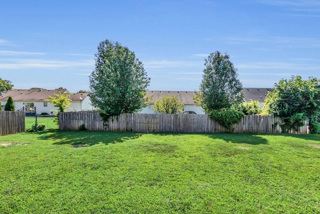 2918 Henderson Ln, Murfreesboro, TN 37130 - photo 32