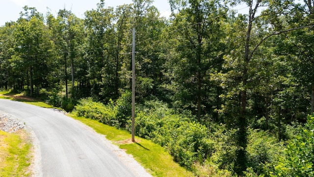 0 Ridgewood Dr, Mc Ewen, TN 37101 - photo 21