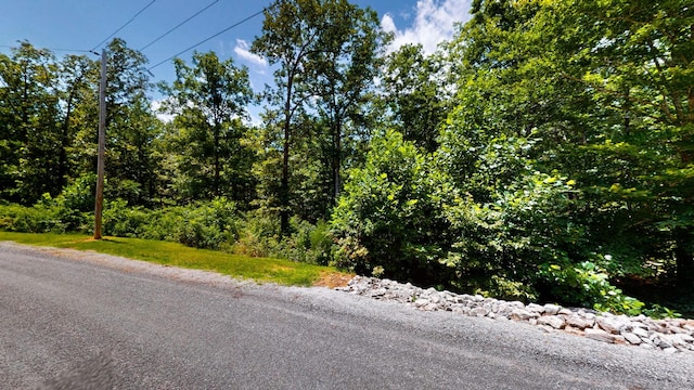 0 Ridgewood Dr, Mc Ewen, TN 37101 - photo 9