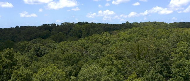 0 Ridgewood Dr, Mc Ewen, TN 37101 - photo 35