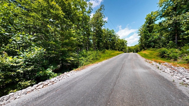 0 Ridgewood Dr, Mc Ewen, TN 37101 - photo 10