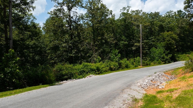 0 Ridgewood Dr, Mc Ewen, TN 37101 - photo 28