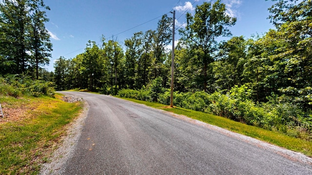 0 Ridgewood Dr, Mc Ewen, TN 37101 - photo 11