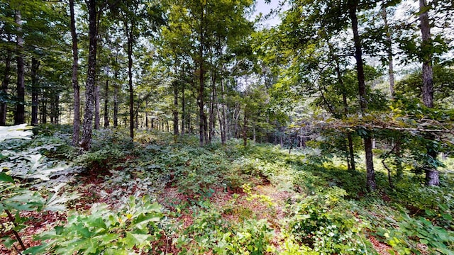 0 Ridgewood Dr, Mc Ewen, TN 37101 - photo 3