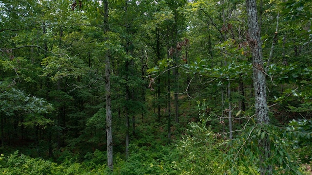 0 Ridgewood Dr, Mc Ewen, TN 37101 - photo 24