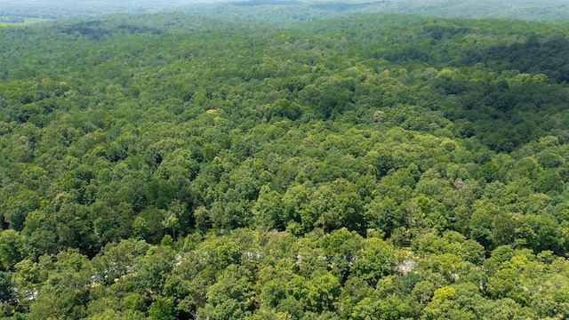 0 Ridgewood Dr, Mc Ewen, TN 37101 - photo 14