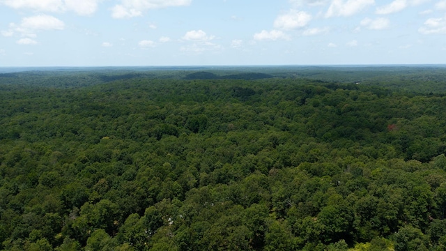 0 Ridgewood Dr, Mc Ewen, TN 37101 - photo 20