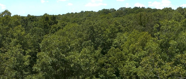 0 Ridgewood Dr, Mc Ewen, TN 37101 - photo 31
