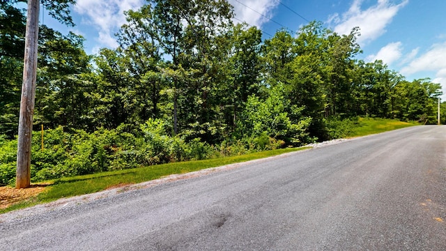 0 Ridgewood Dr, Mc Ewen, TN 37101 - photo 12
