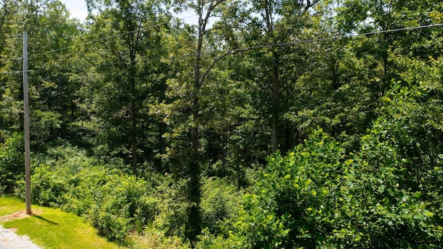 0 Ridgewood Dr, Mc Ewen, TN 37101 - photo 22