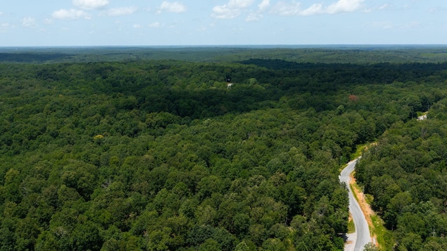 0 Ridgewood Dr, Mc Ewen, TN 37101 - photo 6