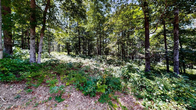 0 Ridgewood Dr, Mc Ewen, TN 37101 - photo 8
