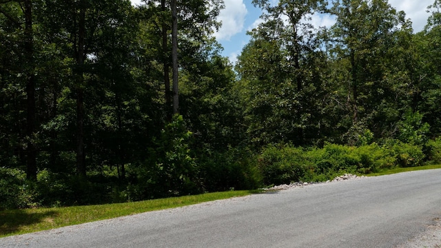 0 Ridgewood Dr, Mc Ewen, TN 37101 - photo 29
