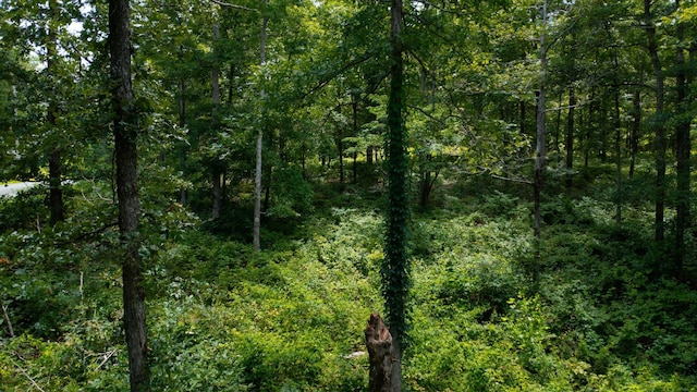 0 Ridgewood Dr, Mc Ewen, TN 37101 - photo 27